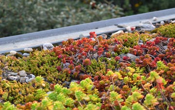 the cost of Torquay green roof installation