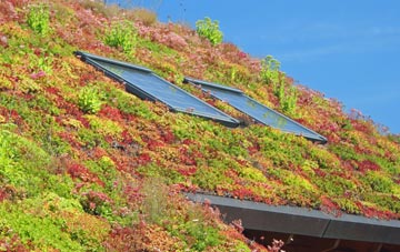 Torquay living roof systems